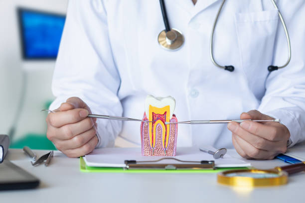 Best Emergency Root Canal Therapy in Herscher, IL